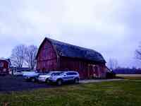 Noah's Ark Pet Hospital