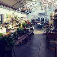Hilltop Florist & Greenhouse