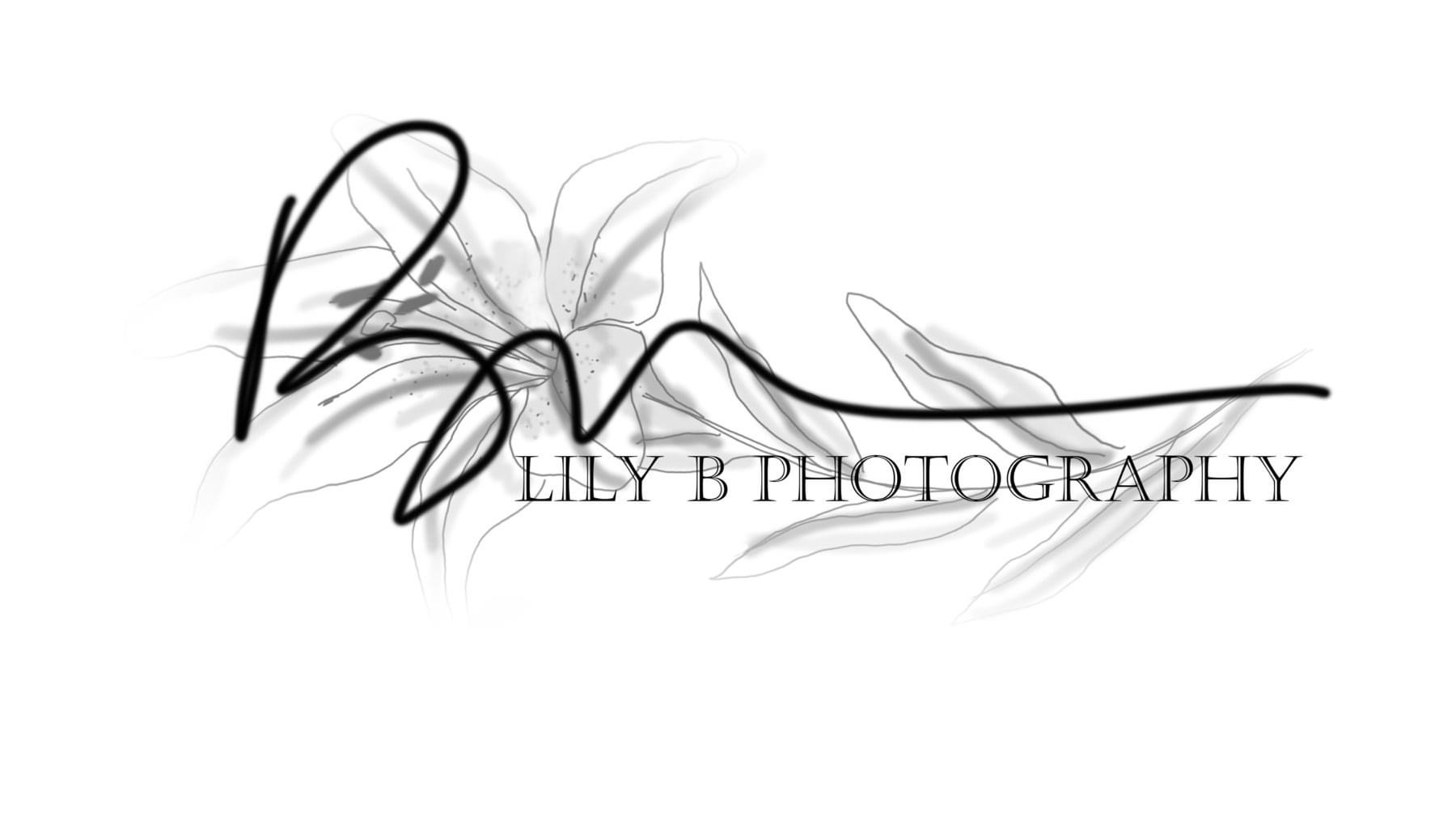 Lily B Photography 831 Fourth Ave NW, Melrose Minnesota 56352