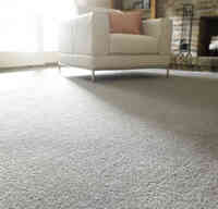 Professional Carpet & Upholstery Cleaners Inc.