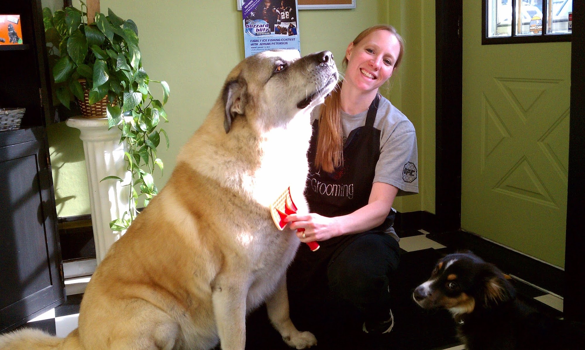 Mutts on Main Grooming Waconia