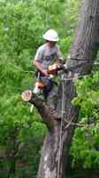 Cevet Tree Care