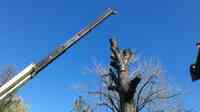 New Heights Tree Specialists