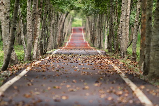 Tree Service Kansas City