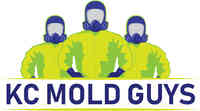 KC Mold Guys