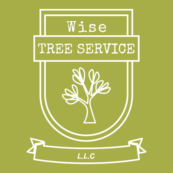 Wise Tree Service LLC 273 S Davis Ave, Marshall Missouri 65340