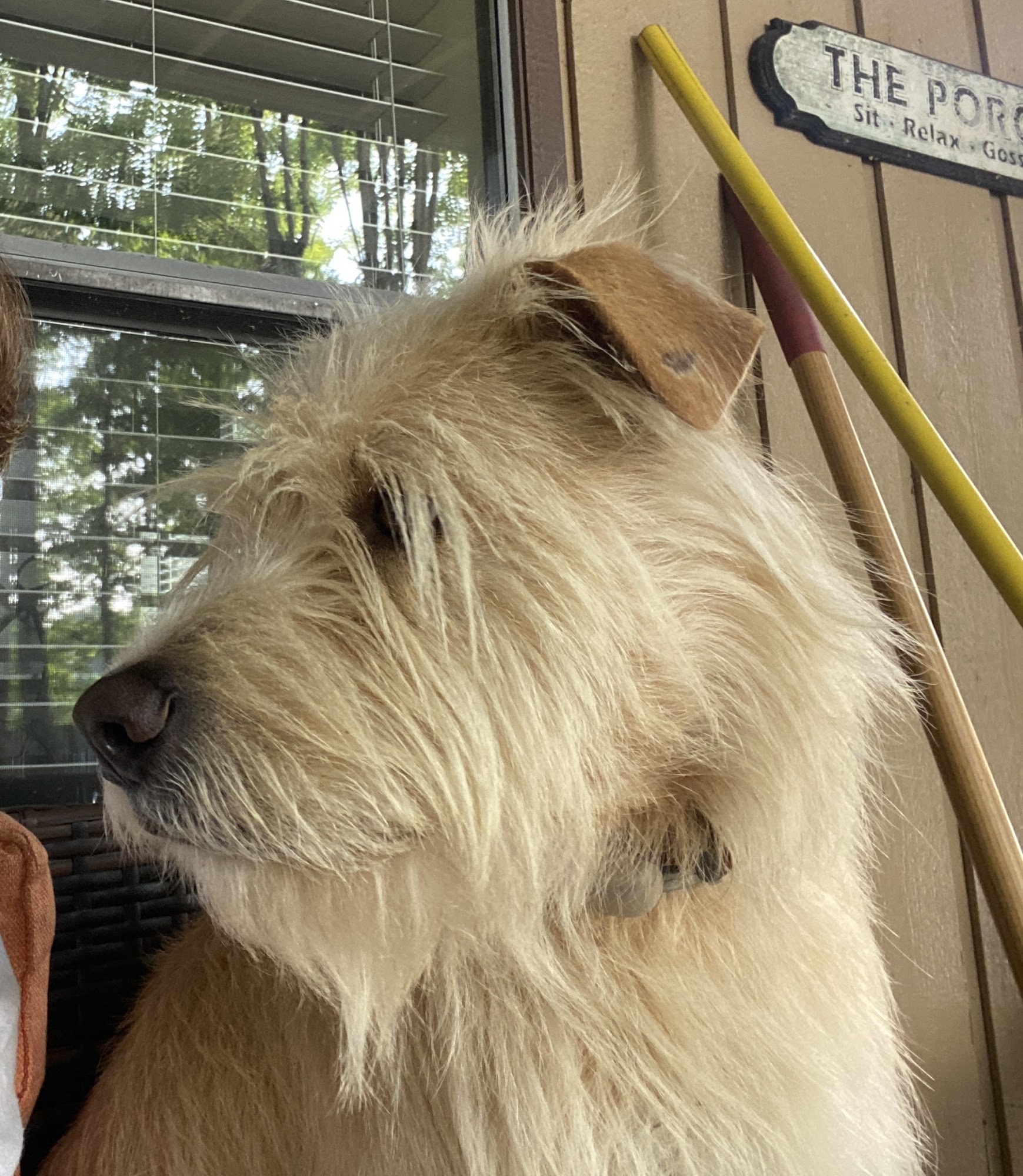 Desoto Kennels Byhalia