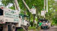 Gallatin Tree Care