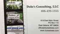 Duke's Consulting