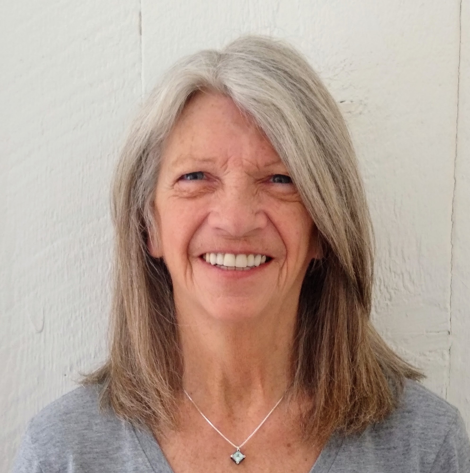 Bitterroot Petmobile Inc Hamilton