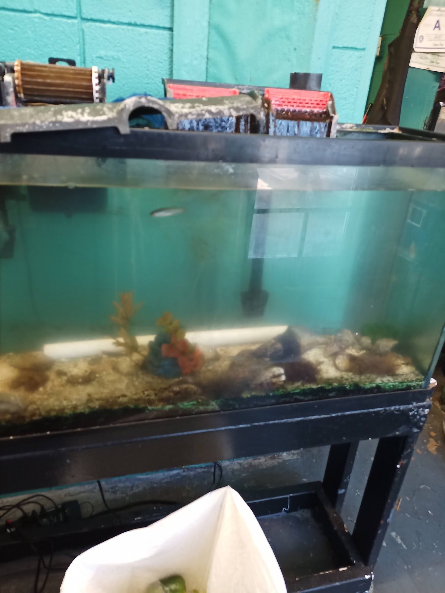 210 Fish Market, Fayetteville Reviews (43), Photos (9) Restaurantji