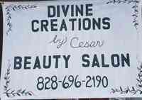 Divine Creations Beauty Salon
