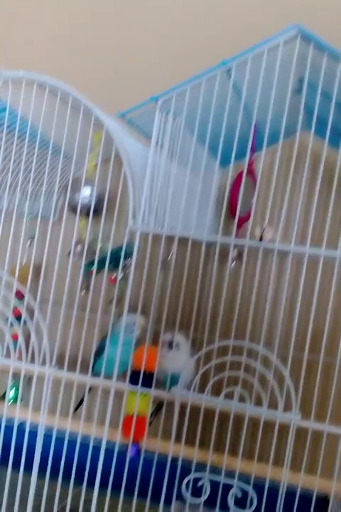 Appliance Repairs & Refrigeration