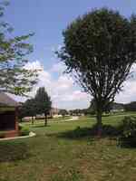 Walnut Ridge Tree Care & Lawn Service