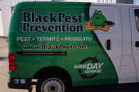 Black Pest Prevention, Inc.