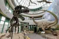 North Carolina Museum of Natural Sciences