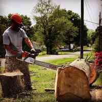 Southern Pride Tree Services