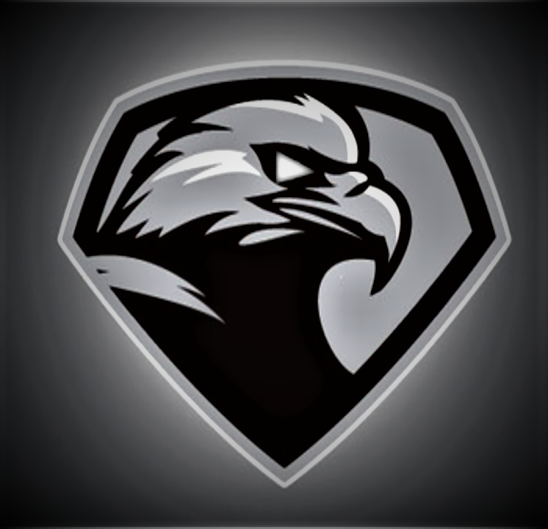 Eagle Eye Express Inc