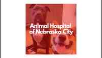 Animal Hospital of Nebraska City