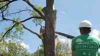 Great Plains Tree Care