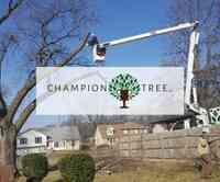 Champion Tree, LLC