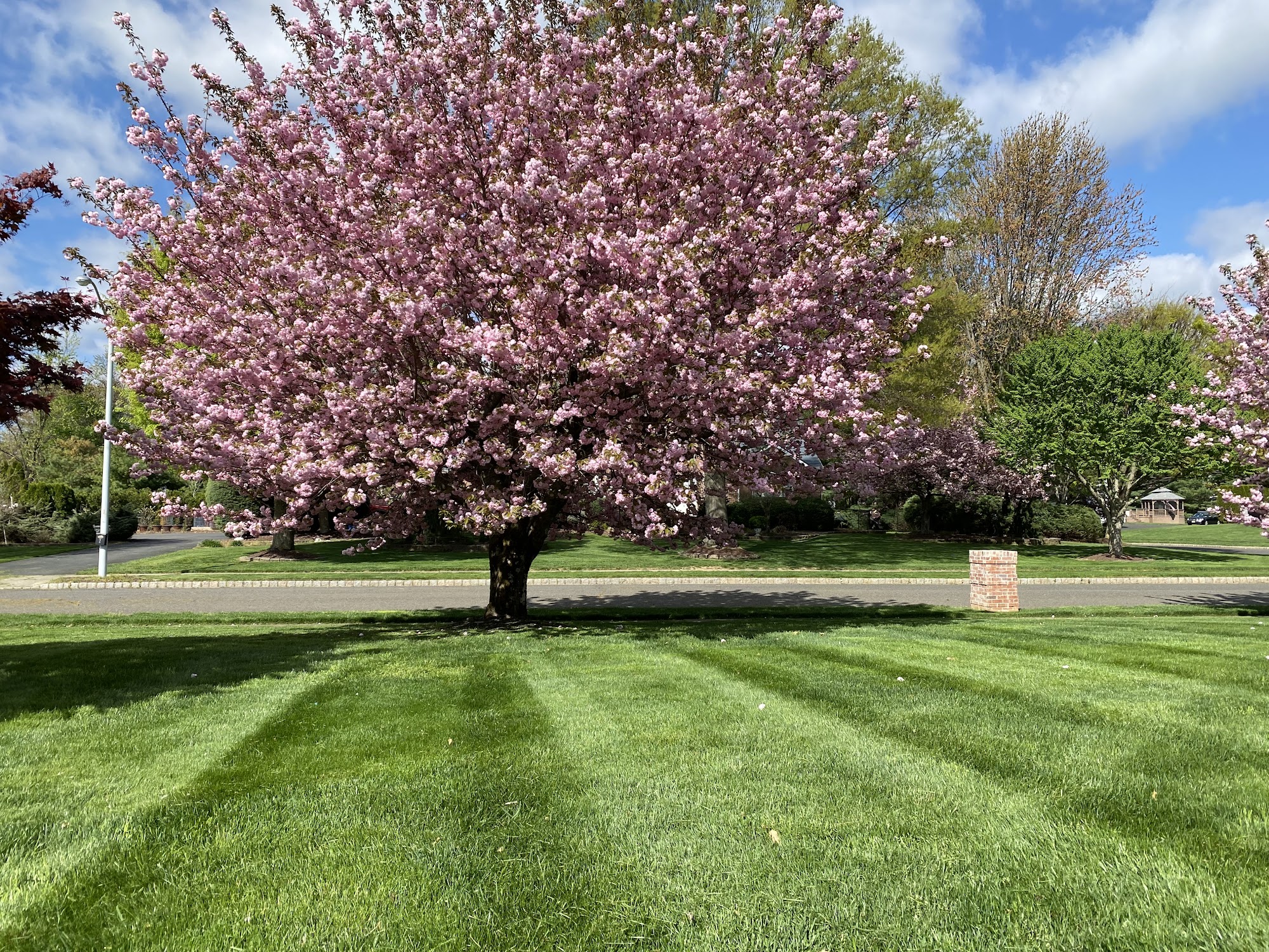 Delahanty Landscaping, LLC