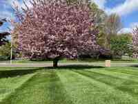 Delahanty Landscaping, LLC
