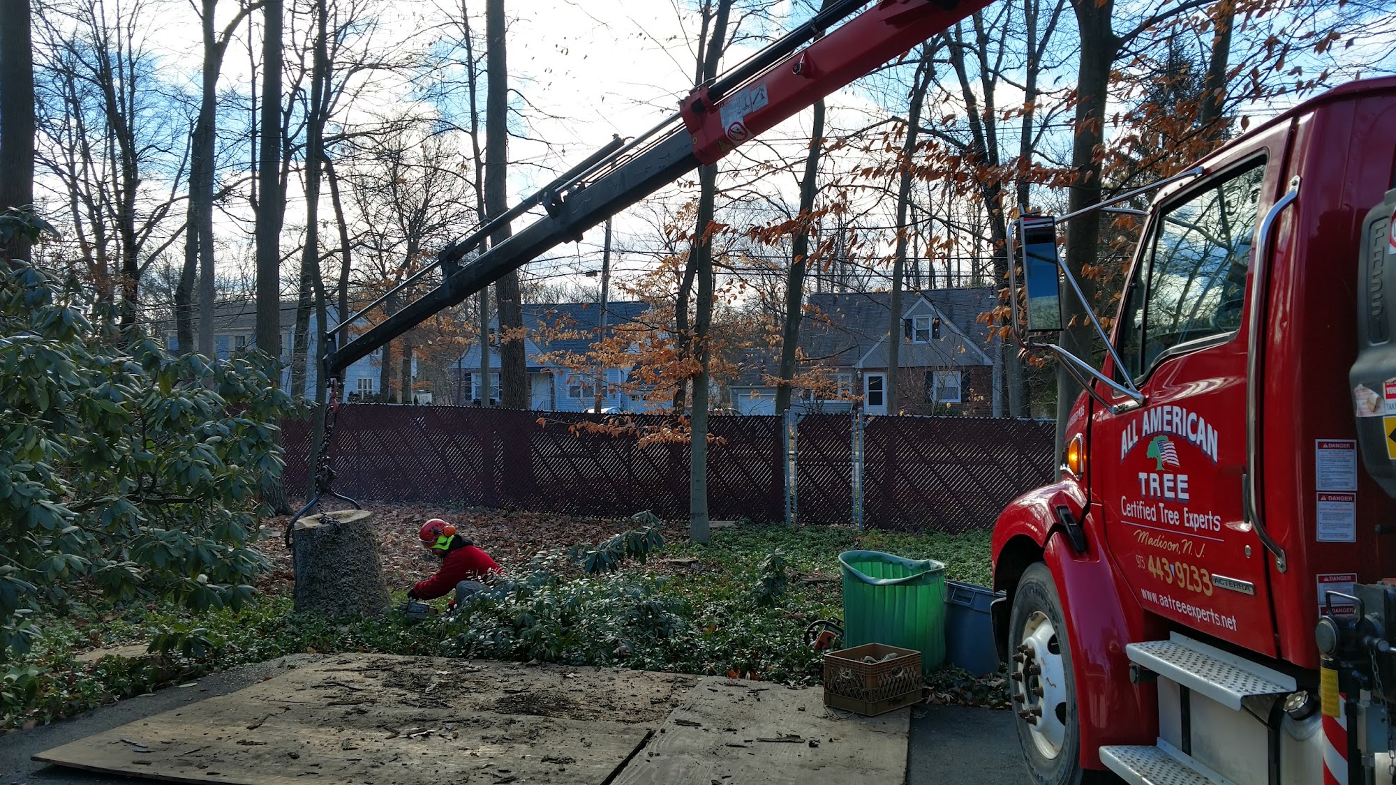 All American Tree Service 10 Lincoln Pl Box 972, Madison New Jersey 07940