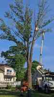 RKD Tree Services