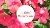 A Total Basket Case