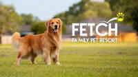 Fetch Family Pet Resort