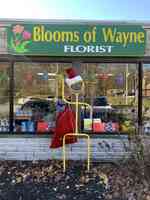 Blooms of Wayne Florist