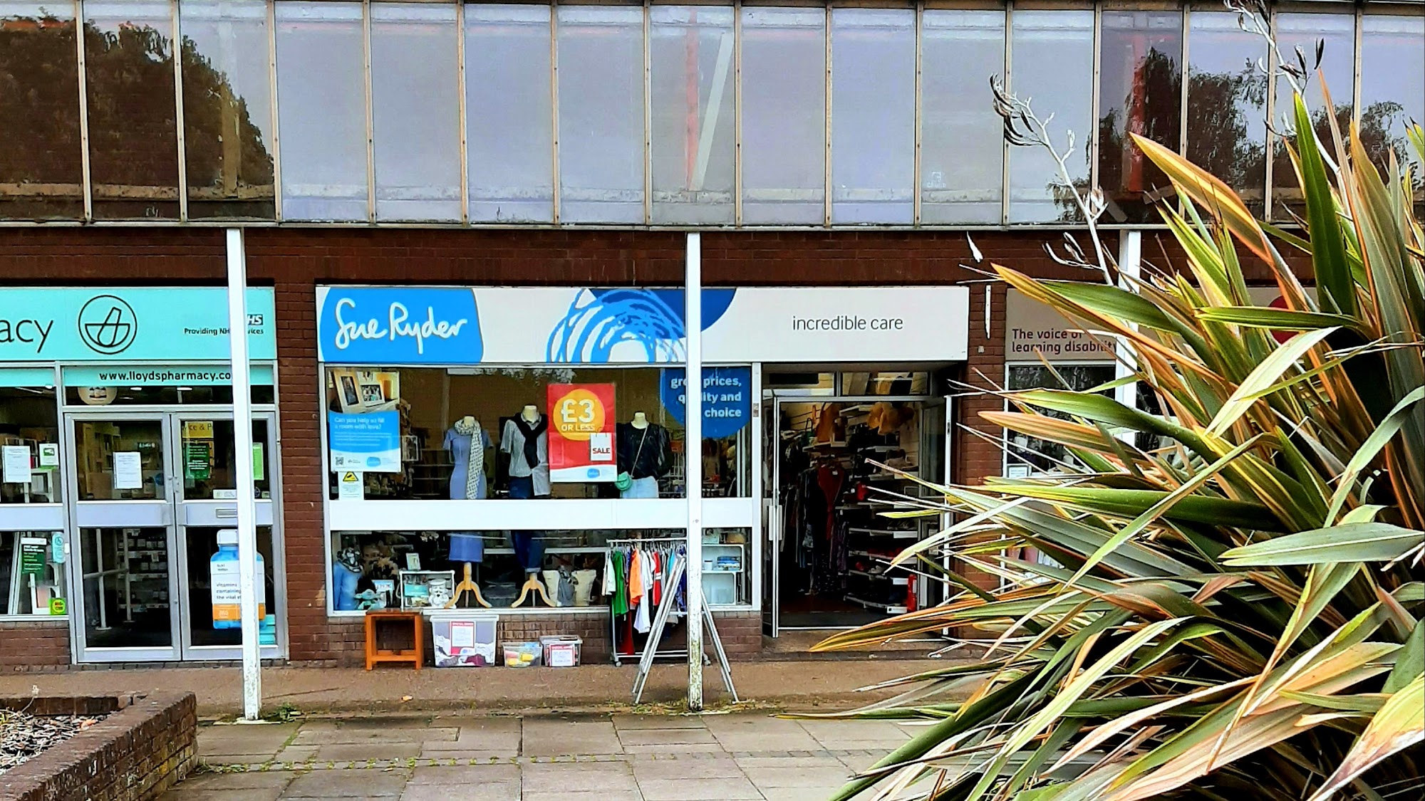 Sue Ryder