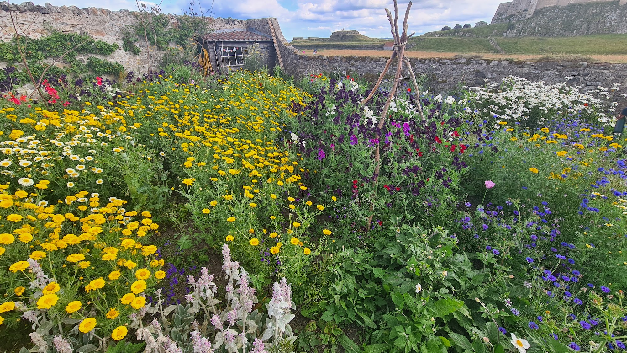 Gertrude Jekyll Garden
