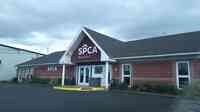 Dartmouth SPCA