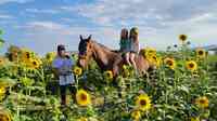 Nature Health Farms Petting Zoo & CBD for Pets in Pahrump