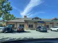 Mt Rose Animal Hospital