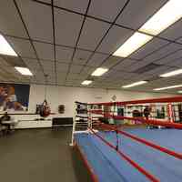 Albany Boxing