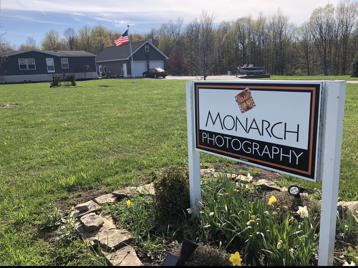 Monarch Photography 25670 Beckwith Rd, Evans Mills New York 13637
