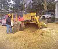 All Pro Tree Service