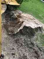 Stump Shredders Tree Service