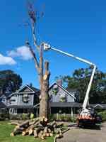 Cutting Edge Tree and Landscaping LLC