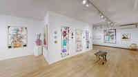 Van Der Plas Gallery