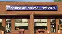 5 Corners Animal Hospital