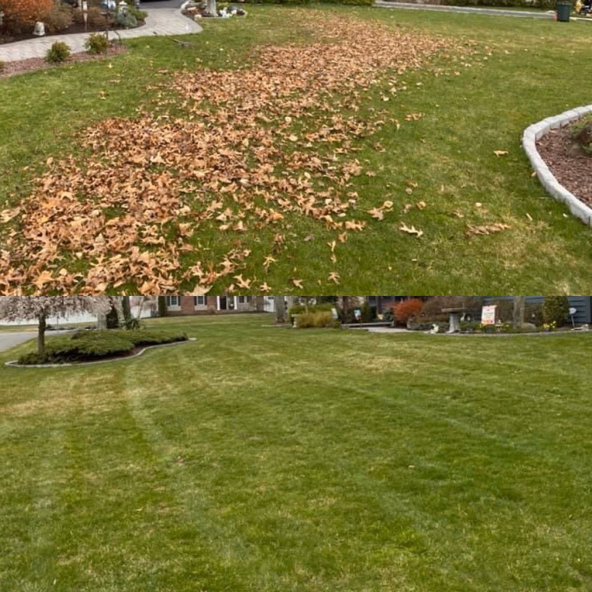 WJS landscaping