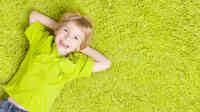 Ecodry NY Carpet Cleaning