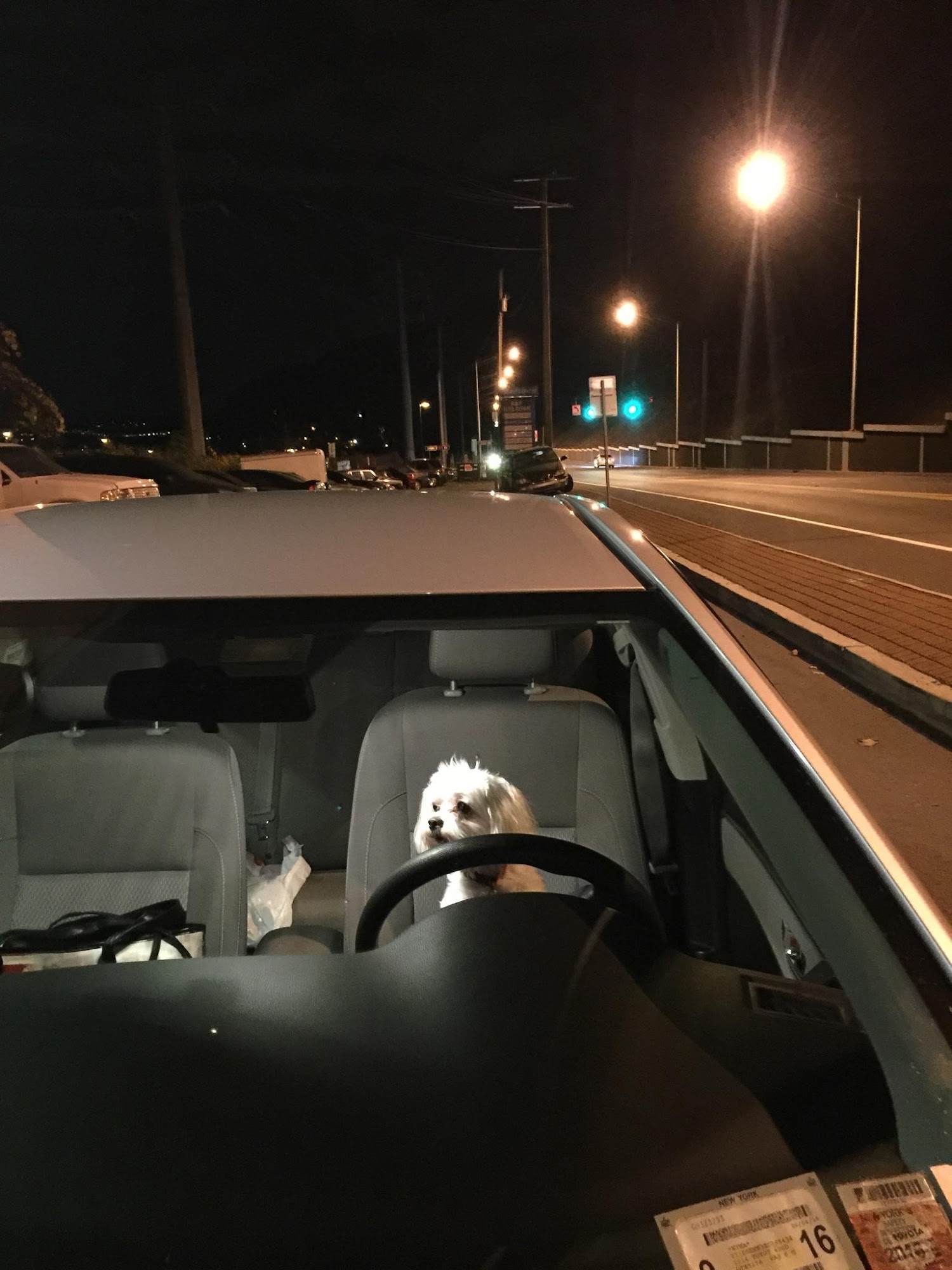 All County Drivers Training