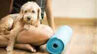 Zen Dog Veterinary Care - At Home Pet Euthanasia