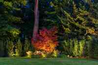 National Lawn Sprinklers & Outdoor Living