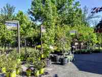 Denny McKeown's Bloomin' Garden Centre & Landscape